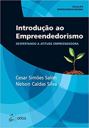 Introdução ao Empreendedorismo