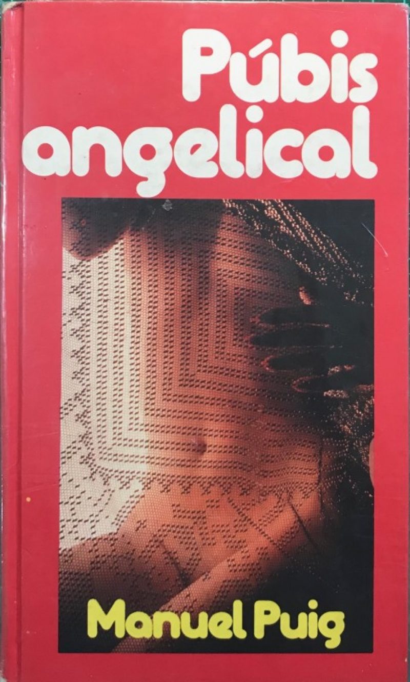 20385564